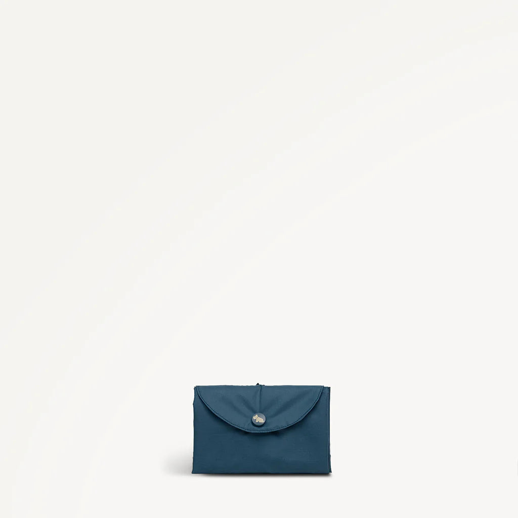 Radley An Ice Day Responsible Foldaway Shopperbv